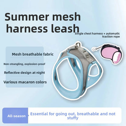 Adjustable Reflective Cat Leash with Safety Buckle