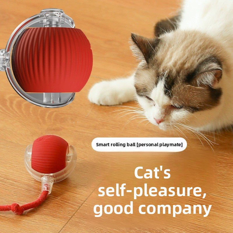 Automatic Rolling Ball Toy