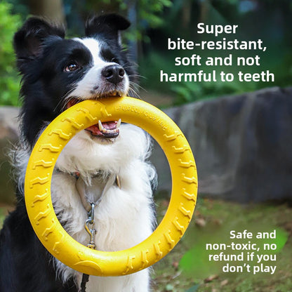 Durable Dog Chew Ring for Training and Play
