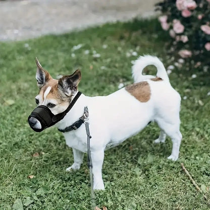 Adjustable Dog Muzzle