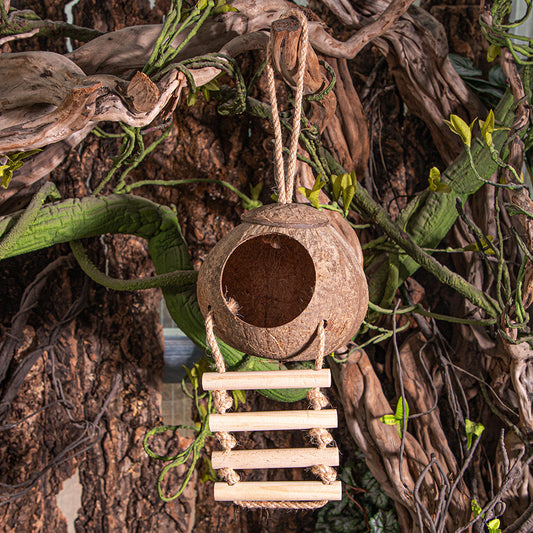 Natural Coconut Shell Shelter Nest