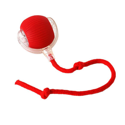 Automatic Rolling Ball Toy