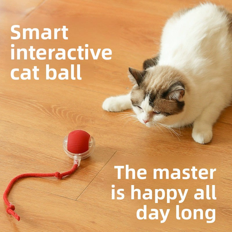 Automatic Rolling Ball Toy