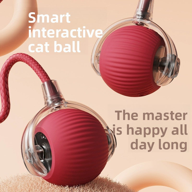 Automatic Rolling Ball Toy