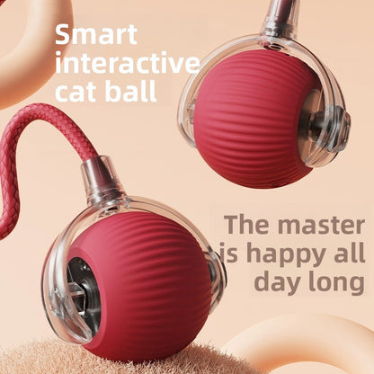 Automatic Rolling Ball Toy