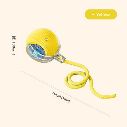Automatic Rolling Ball Toy