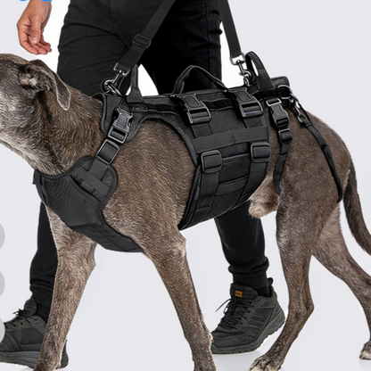 Dog Support Belt