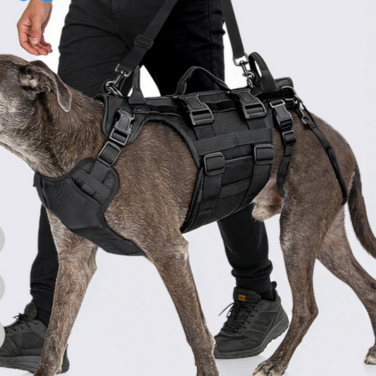 Dog Support Belt