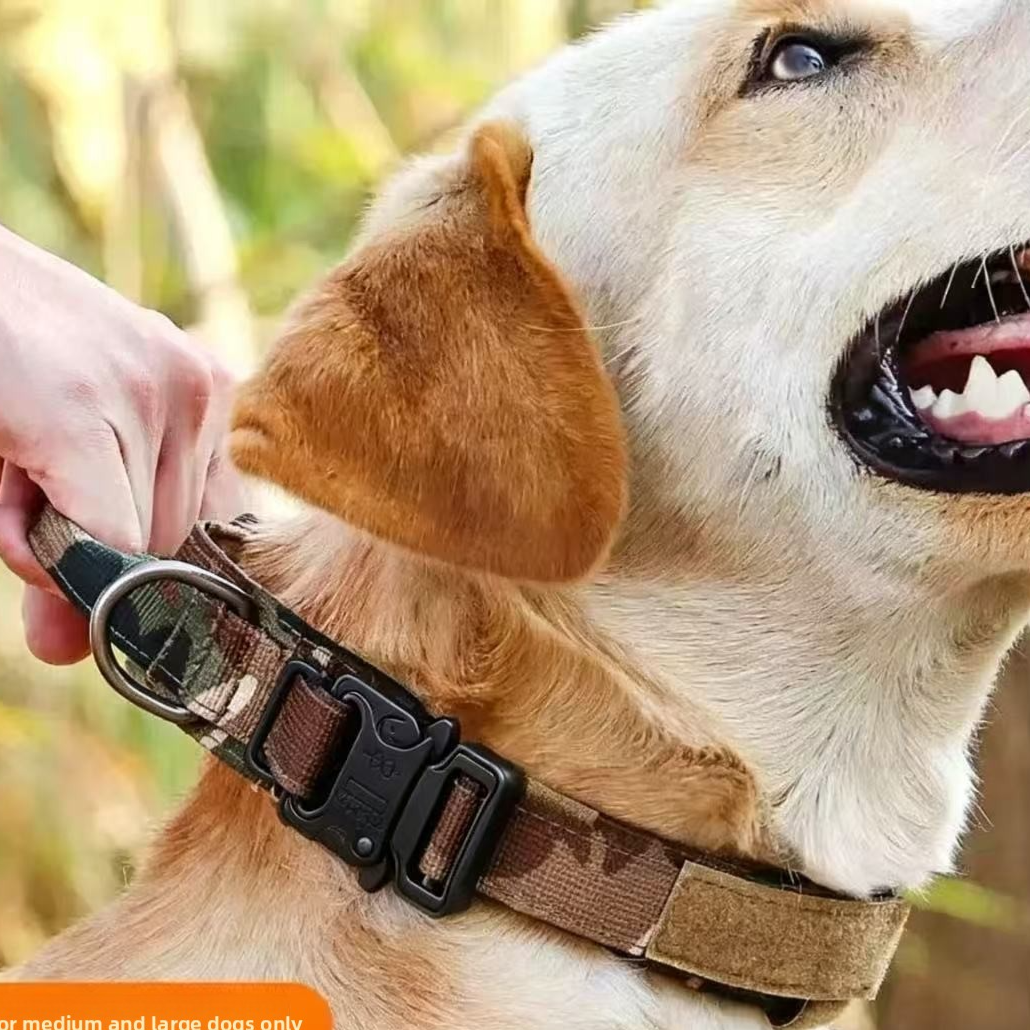Tactical Dog Collar