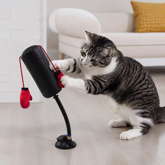 Spring-Loaded Cat Boxing Toy